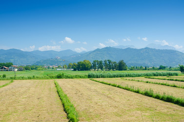 Similar image 5532958