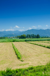 Similar image 5532959