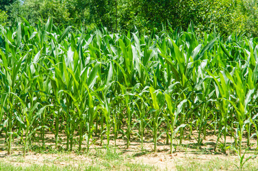 Similar image 5533001