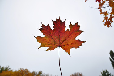 Similar image 5533226