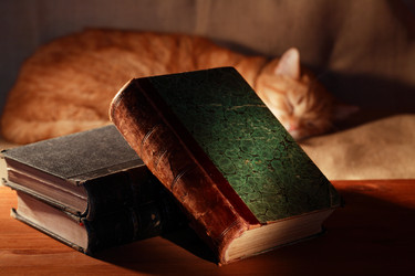 Similar image 5533553