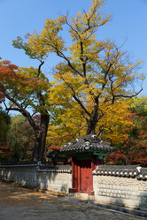 Similar image 5533733