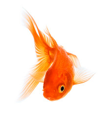 Similar image 5533827