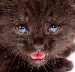 Similar image 5533831