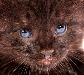 Similar image 5533839