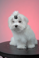 Similar image 5533882