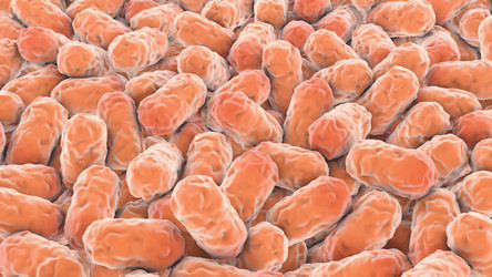 Similar image 5533896