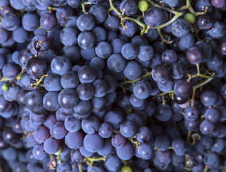 Similar image 5533905