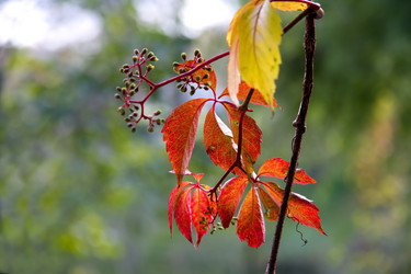 Similar image 5533929