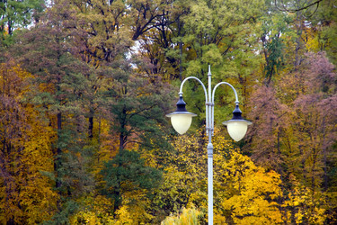 Similar image 5533942