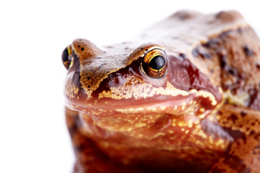 Similar image 5533953