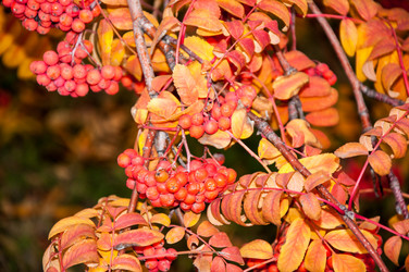 Similar image 5534044