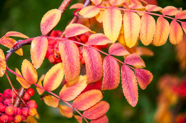 Similar image 5534045