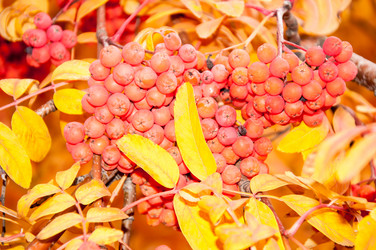 Similar image 5534046