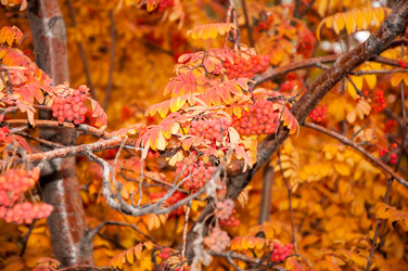 Similar image 5534047