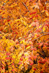 Similar image 5534048