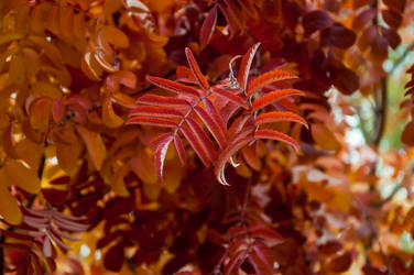 Similar image 5534062