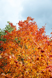 Similar image 5534064