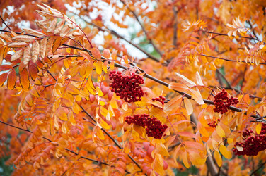 Similar image 5534065