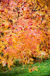 Similar image 5534066