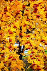 Similar image 5534067