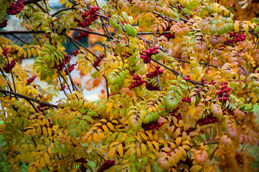 Similar image 5534068