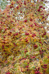 Similar image 5534069