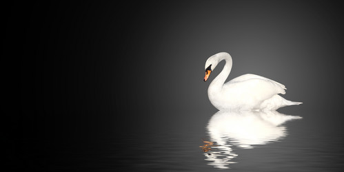 Similar image 5534219