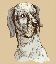 Similar image 5534246