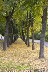 Similar image 5534292