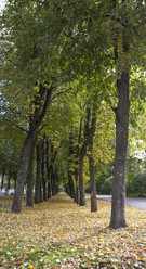 Similar image 5534294