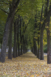 Similar image 5534295