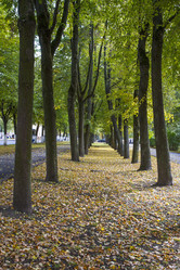 Similar image 5534296