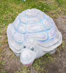 Similar image 5534301