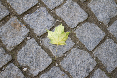 Similar image 5534312