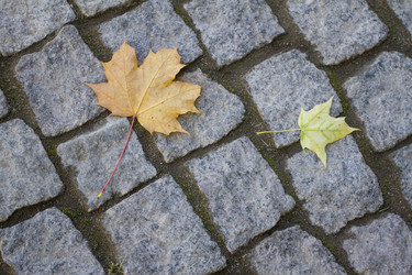 Similar image 5534313