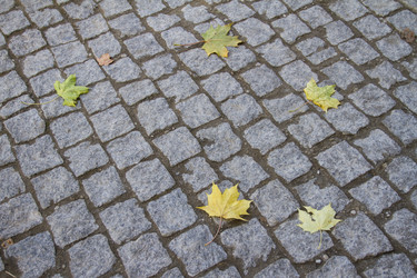 Similar image 5534314