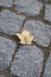 Similar image 5534317