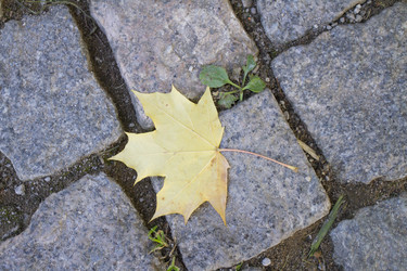 Similar image 5534335