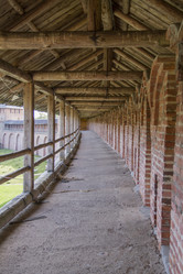 Similar image 5534346