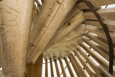 Similar image 5534348