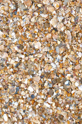 Similar image 5534376