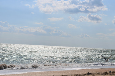 Similar image 5534380