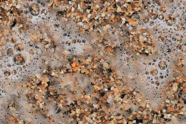 Similar image 5534383