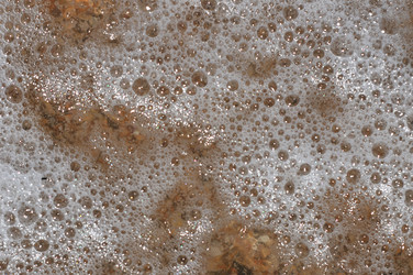 Similar image 5534390