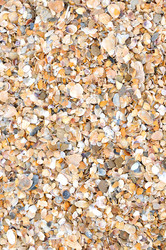 Similar image 5534393