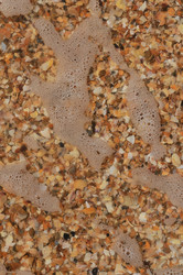 Similar image 5534398