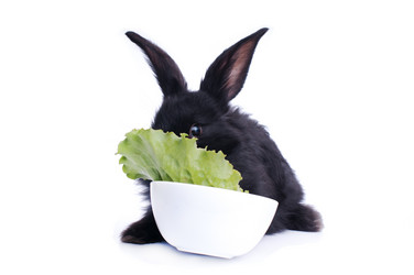 Similar image 5534410