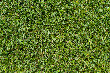 Similar image 5534411