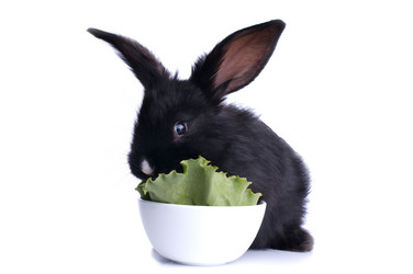 Similar image 5534417